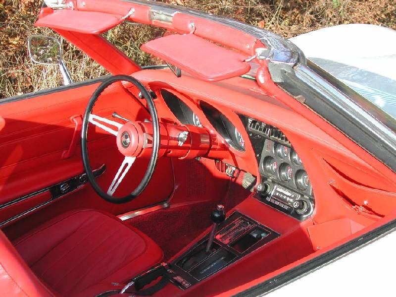 MARTINSRANCH 72 Stingray white red (15) 